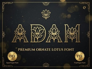 Adam Font: Design Projects & Creative Uses